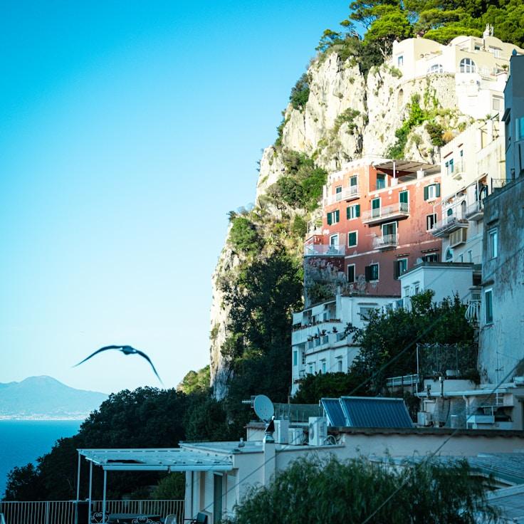 Outdoor terrace seating suitable for families in Brighton