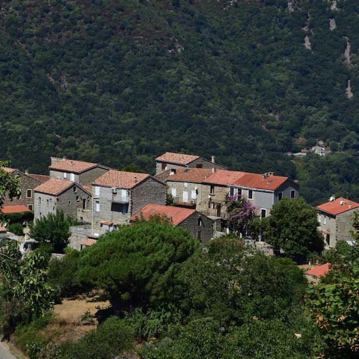 Family terraces and cafés for calm evenings in Brighton